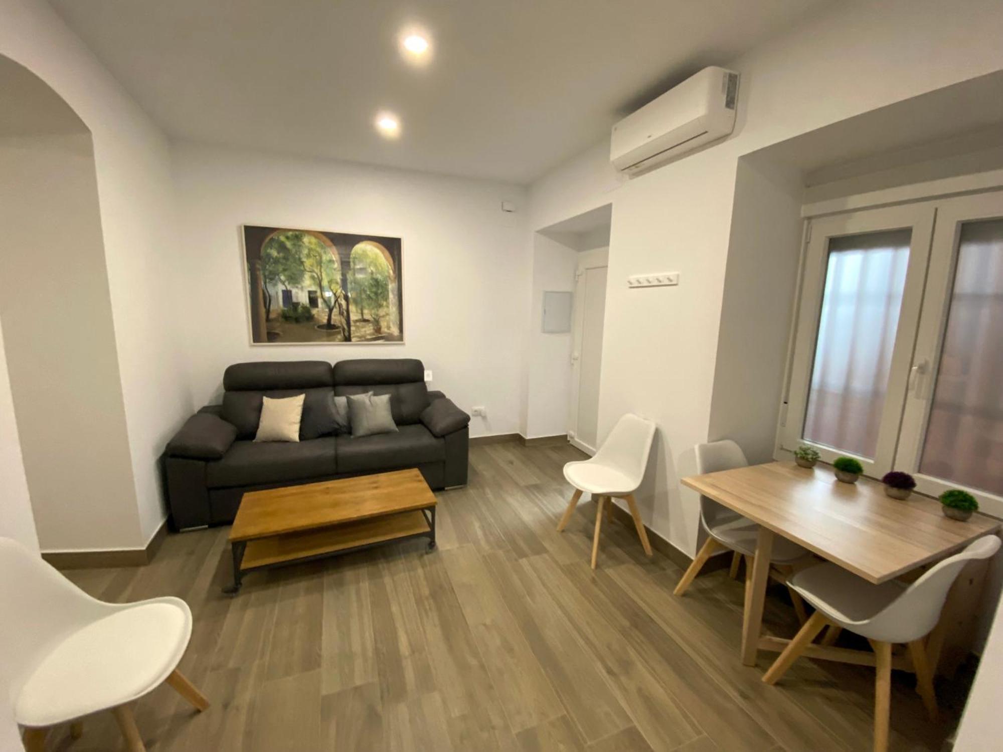Suites Del Mar Y Suite De Cordoba - Apartmentos En Pleno Centro Экстерьер фото