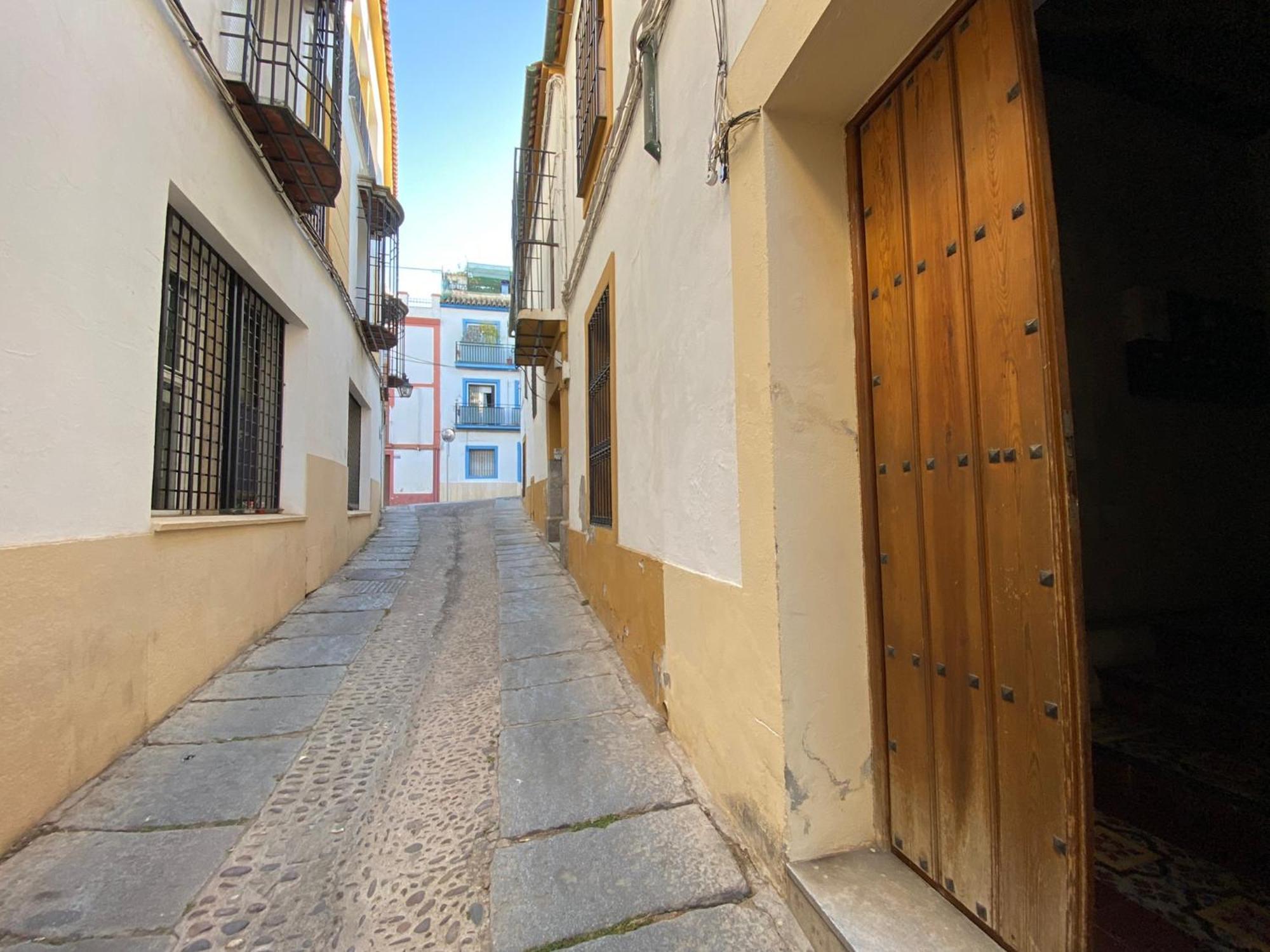 Suites Del Mar Y Suite De Cordoba - Apartmentos En Pleno Centro Экстерьер фото