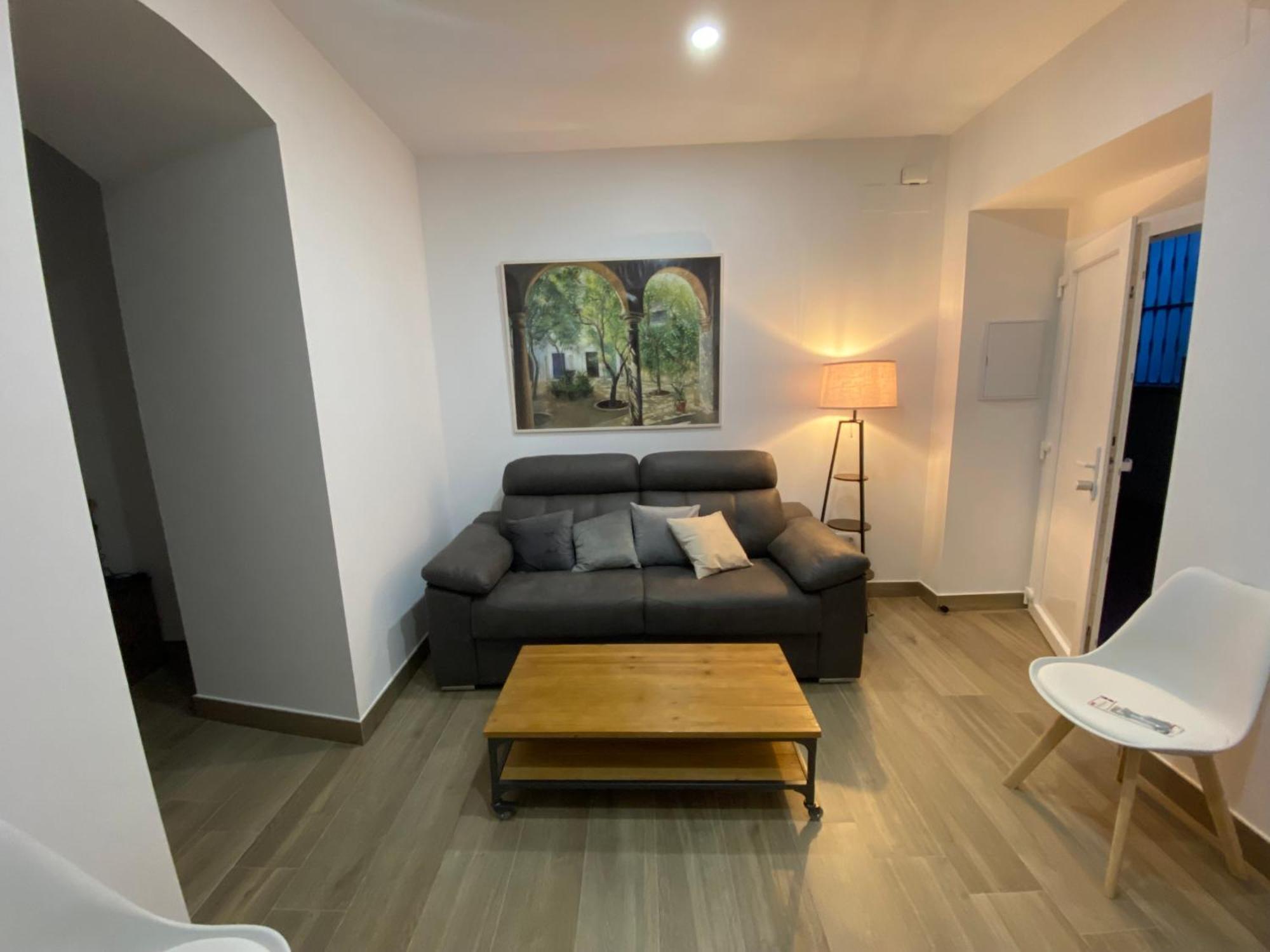 Suites Del Mar Y Suite De Cordoba - Apartmentos En Pleno Centro Экстерьер фото